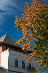 Similar image 1081056