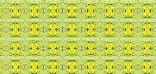 Similar image 1081064