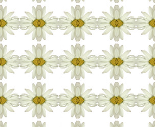 Similar image 1081119