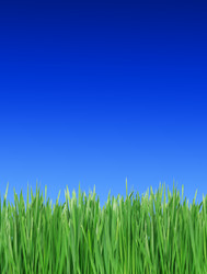 Similar image 1081177