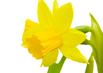 Similar image 1081216