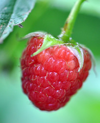 Similar image 1081265