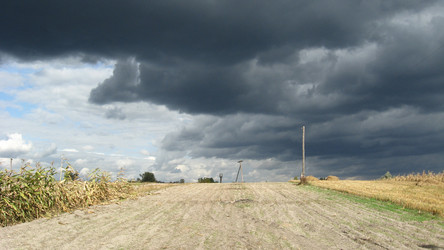 Similar image 1081277