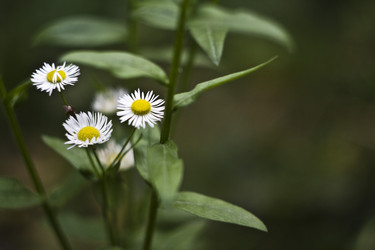 Similar image 1081294