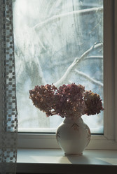 Similar image 1081305