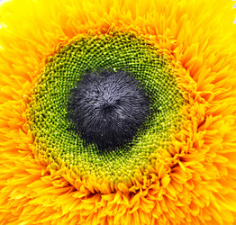 Similar image 1081336