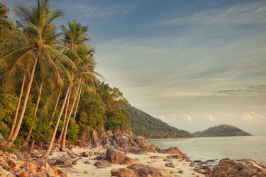 Similar image 1081348