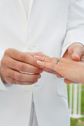 Similar image 1081384