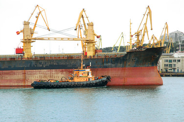 Similar image 1081450