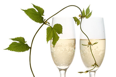 Similar image 1081459