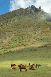 Similar image 1081473