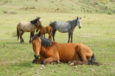 Similar image 1081470