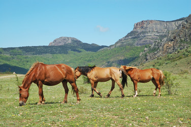 Similar image 1081471