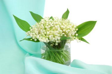 Similar image 1081483