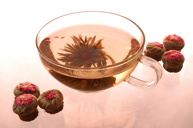 Similar image 1081507