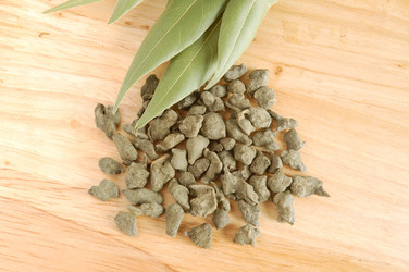 Similar image 1081515