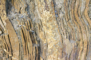 Similar image 1081538