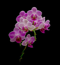 Similar image 1081545