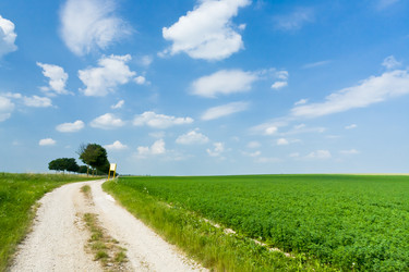 Similar image 1081589