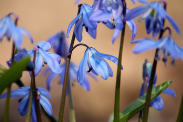 Similar image 1081602