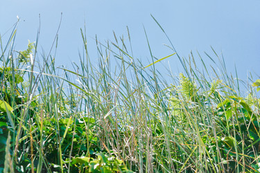 Similar image 1081615