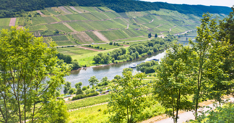 Similar image 1081626