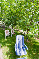 Similar image 1081628