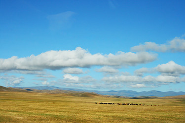 Similar image 1081633