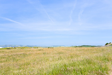 Similar image 1081715