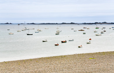 Similar image 1081728