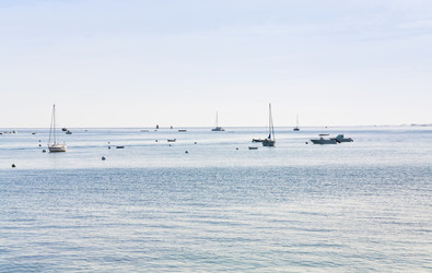 Similar image 1081729