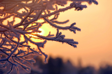 Similar image 1081748