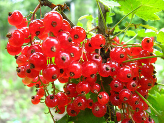 Similar image 1081751