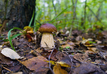 Similar image 1081758