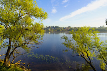 Similar image 1081759