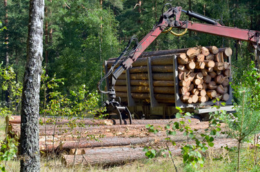 Similar image 1081834