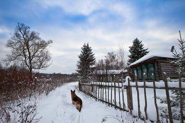 Similar image 1081843