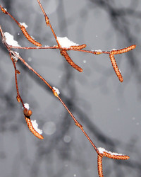 Similar image 1081867