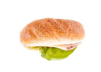 Similar image 1081880