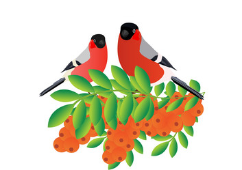 Similar image 1081927