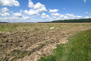 Similar image 1081932