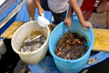 Similar image 1081935