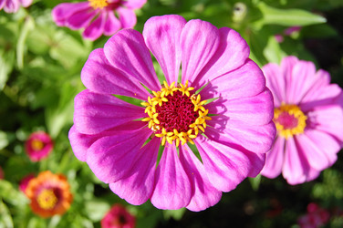 Similar image 1081937