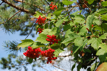 Similar image 1081936