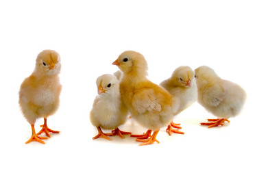 Similar image 1082075