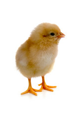 Similar image 1082079