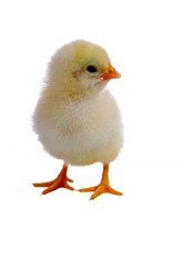 Similar image 1082080