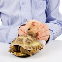 Similar image 1082084