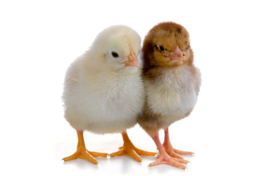 Similar image 1082090