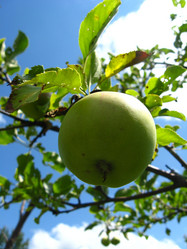 Similar image 1082153